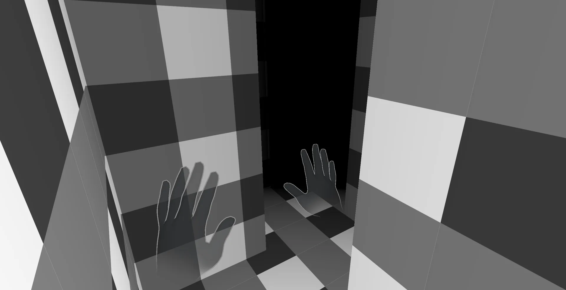 Maze Paradigm